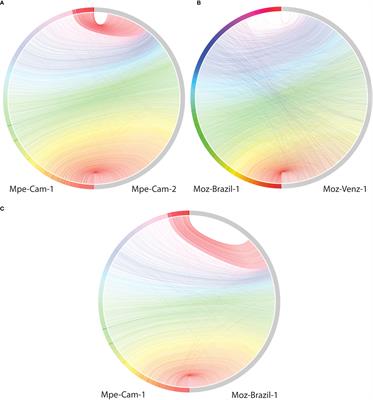 Genomes of the human filarial parasites Mansonella perstans and Mansonella ozzardi